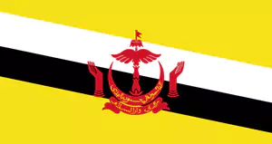 brunei-flag