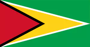 guyana-flag